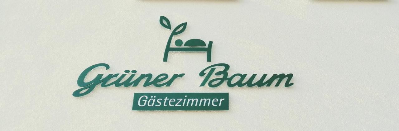 란게나우 Gruener Baum B&B 외부 사진